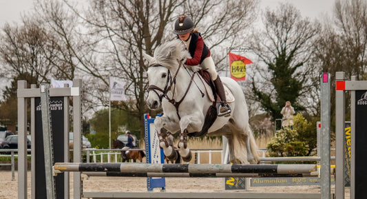 Hoe hoog kan een paard springen? Lees het hier!