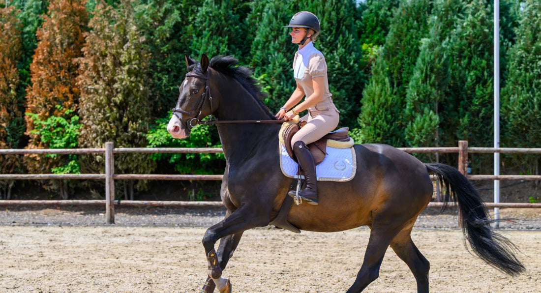 Een paard leren springen, hoe doe je dat?