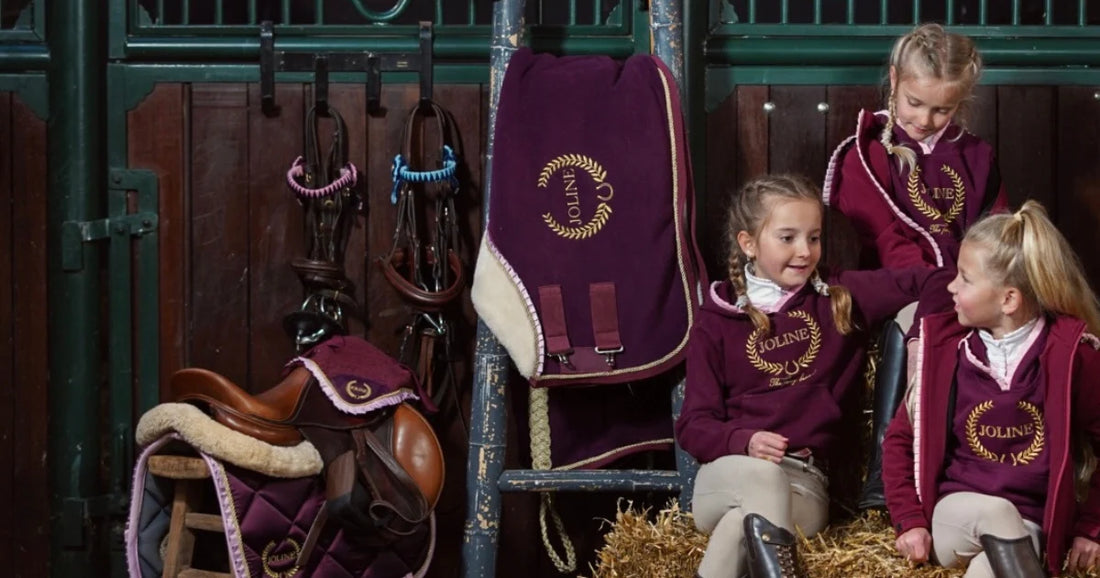 Paardensport: Alles over de niveaus en verschillende disciplines!