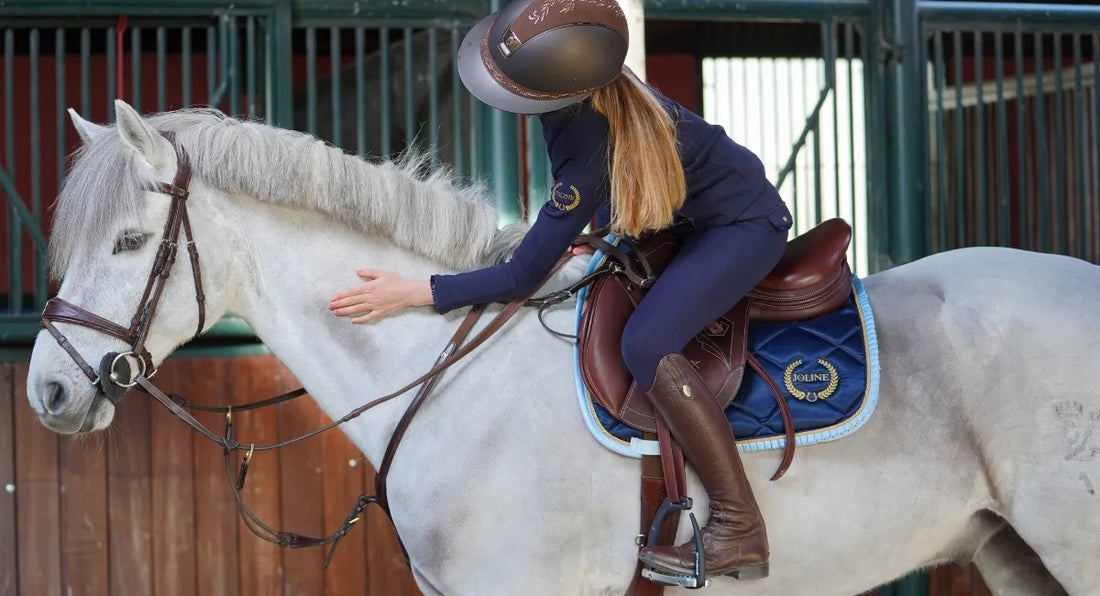 Paardrijden voor beginners, 6 handige tips voor je start!
