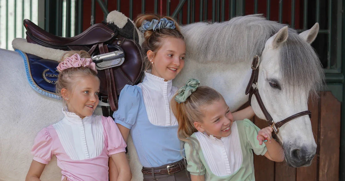 Paardrijlessen voor beginners: lees hier alles wat je moet weten!