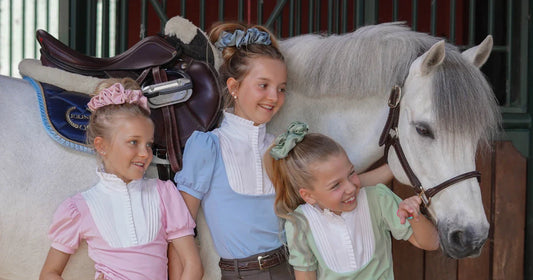 Paardrijlessen voor beginners: lees hier alles wat je moet weten!