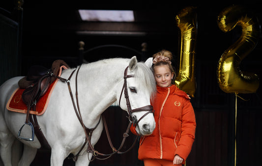 Hoe oud kan een paard worden? En hoe houd je je paard gezond?