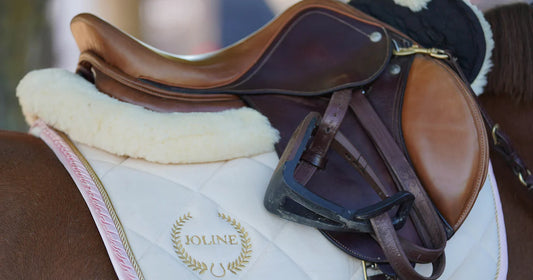 Is paardrijden een sport? Lees het hier!