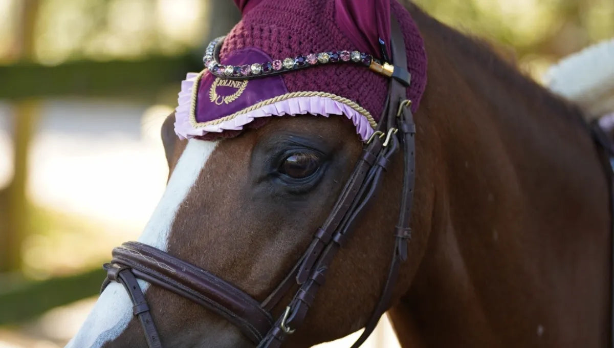 Frontriem_paard_of_pony