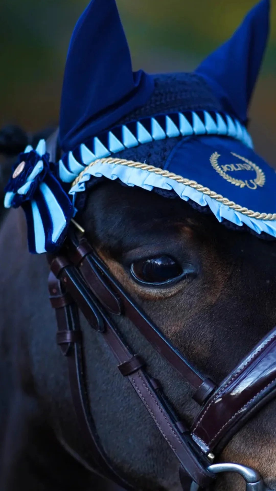 Frontriem_paard_of_pony_2