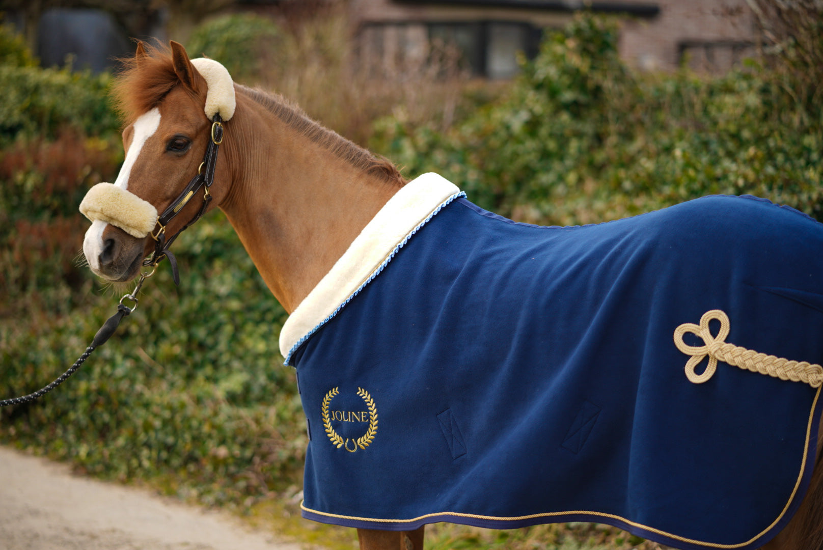 Showdeken_Polarfleece_Blauw-2